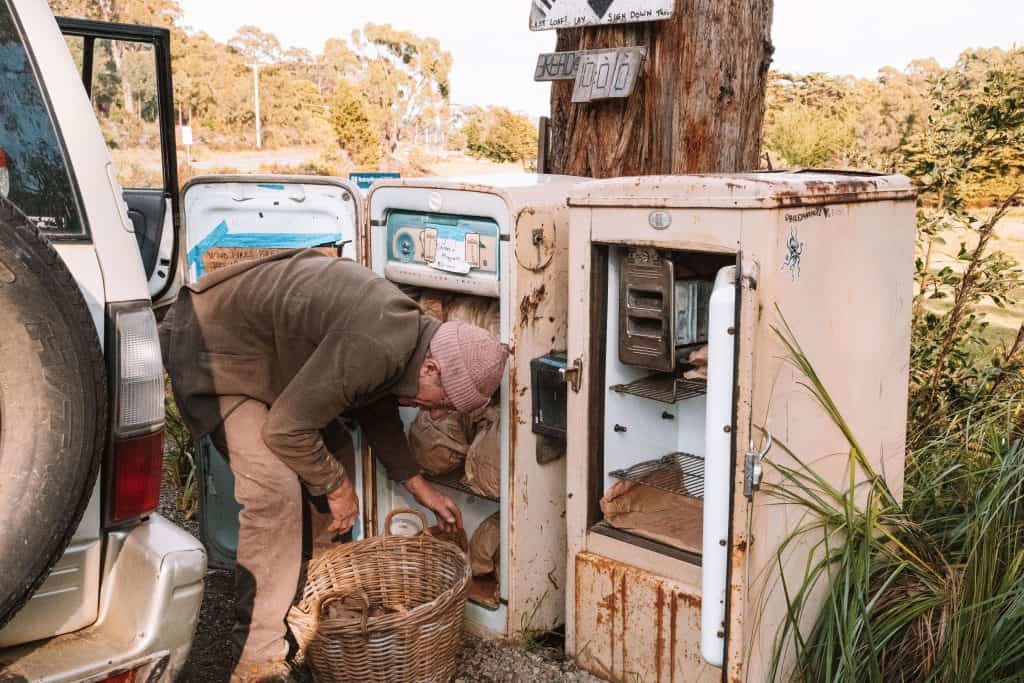 A local man collecting freshly baked bread from an honesty fridge stall on Bruny Island, a charming stop on the Bruny Island tour from Hobart that showcases the island’s rustic and community-driven lifestyle.