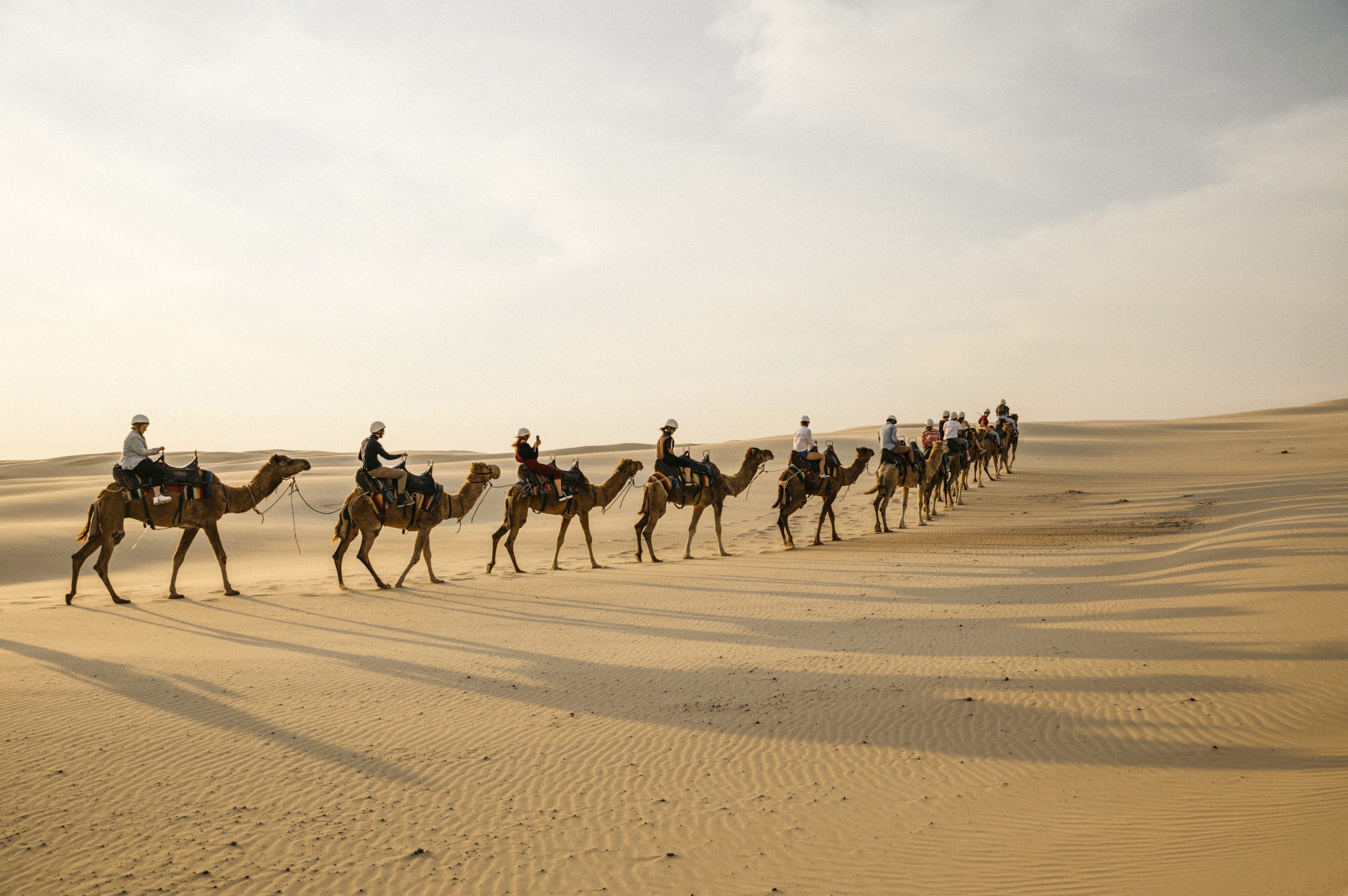 Camel Riding in Anna Bay, Nelson Bay