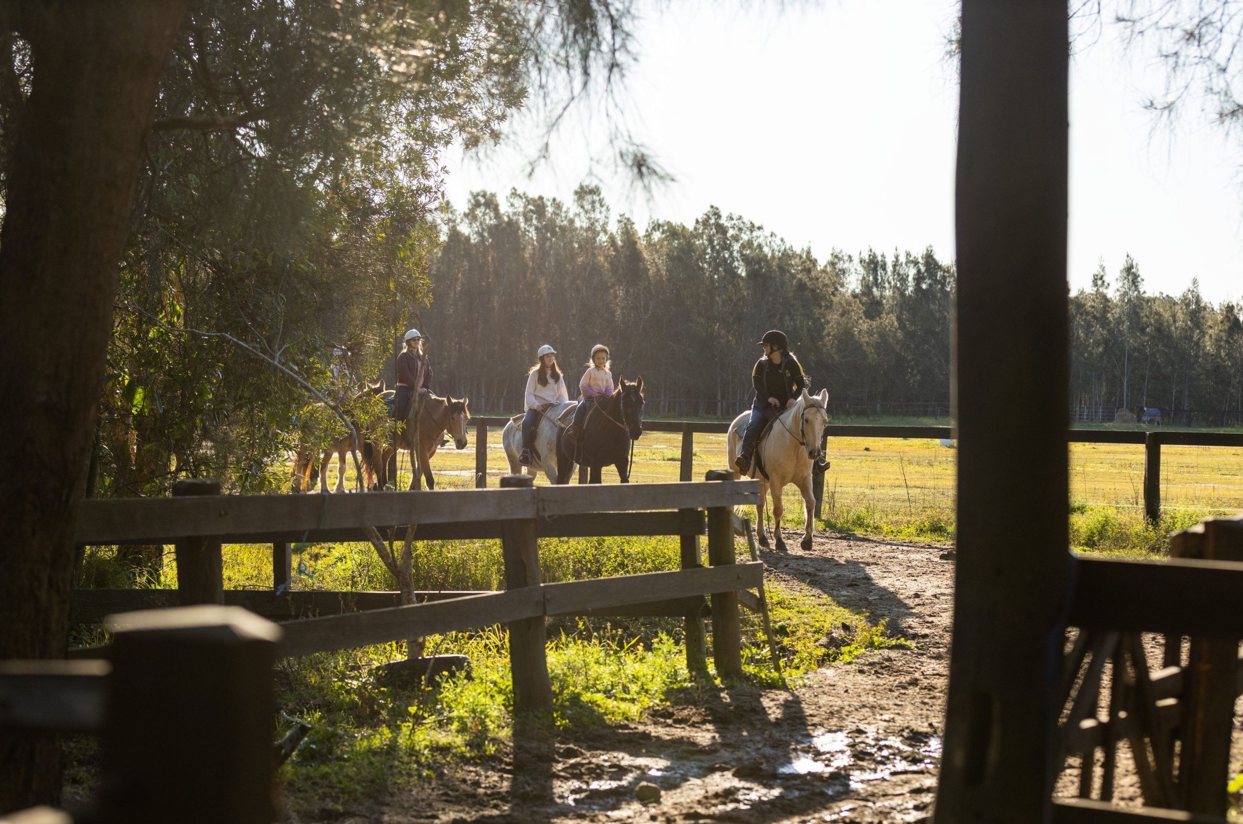Things to do in Port Stephens - Sahara Trails Horse Riding
