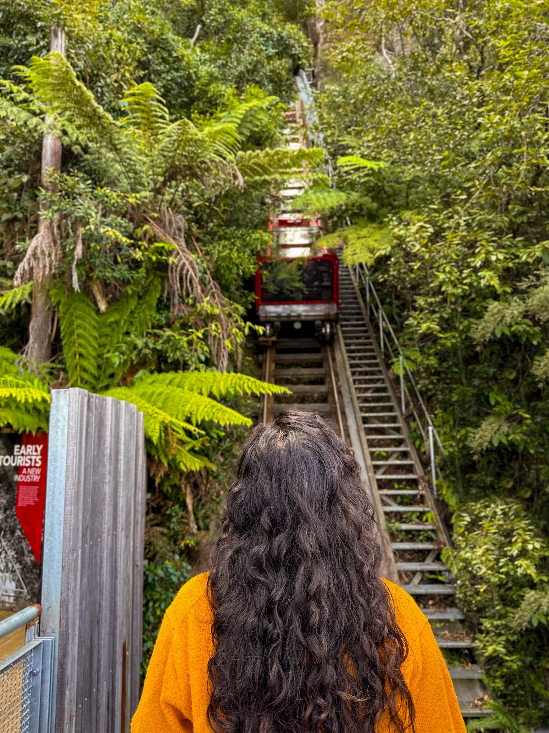 The track of world's steepest railway, the Scenic Railway in Scenic World, Blue Mountains.