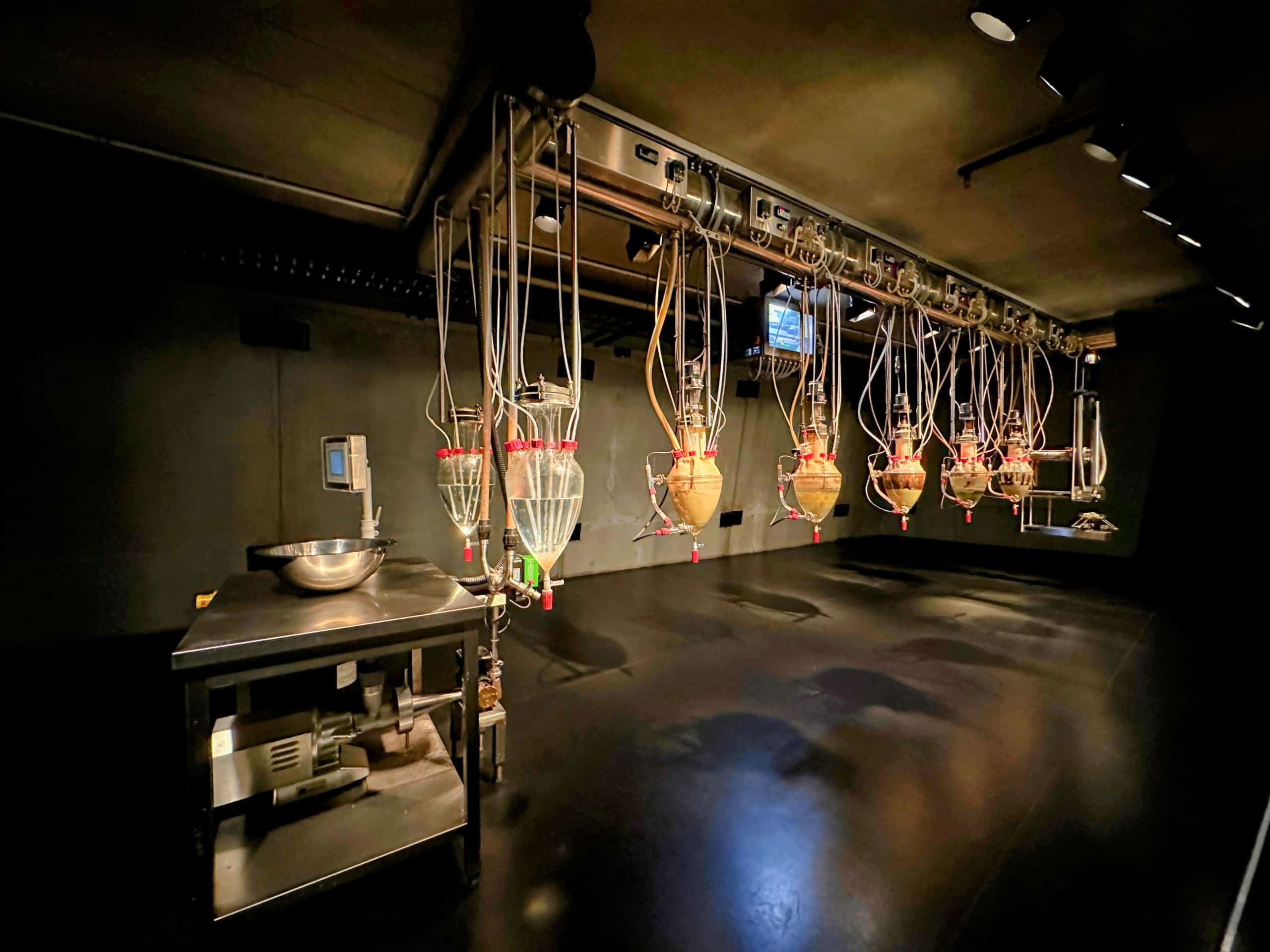 The Cloaca Professional: An unsettling but intriguing exhibit that simulates the human digestive process!