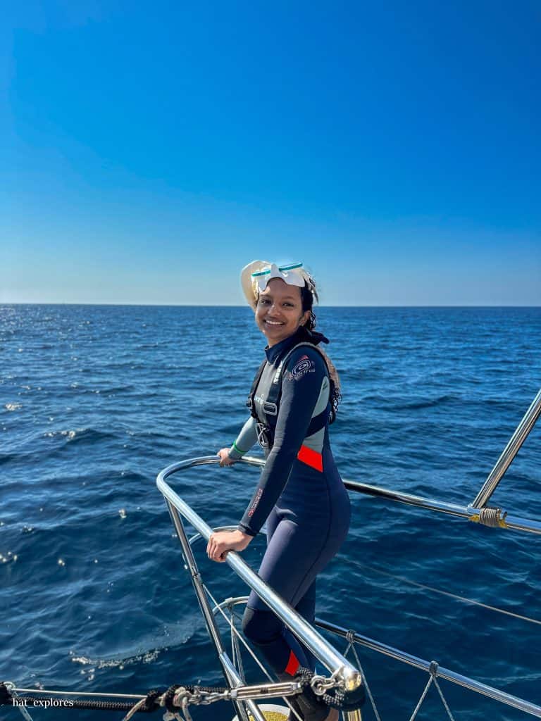 dolphin watching experience