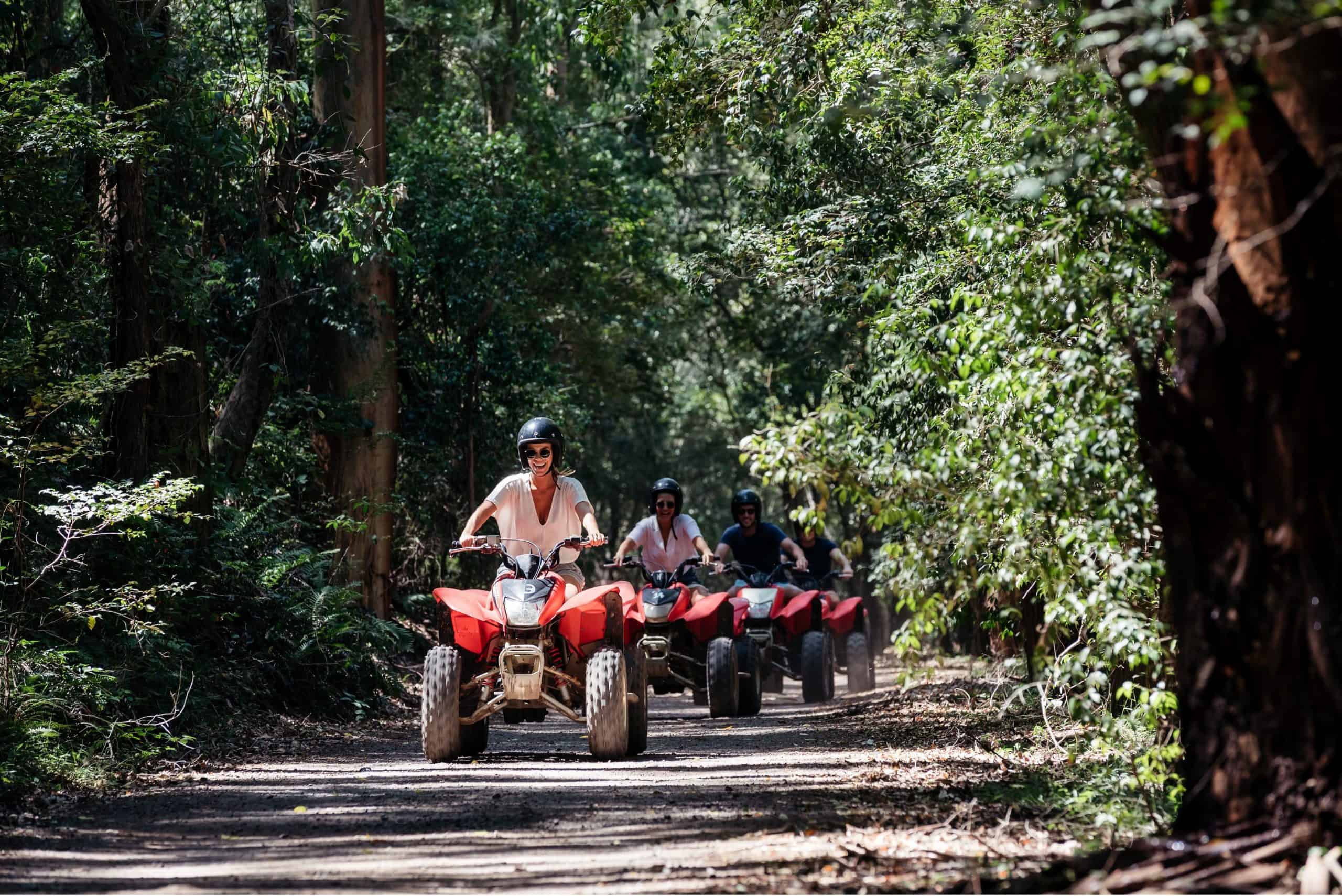 Quad Biking Adventure: A group riding quad bikes through scenic trails surrounded by trees and open fields in Glenworth Valley.
