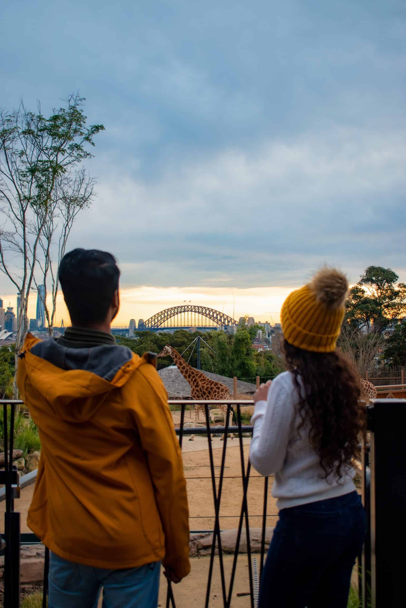 A couple looking over at a Giraffe at Taronga Zoo!