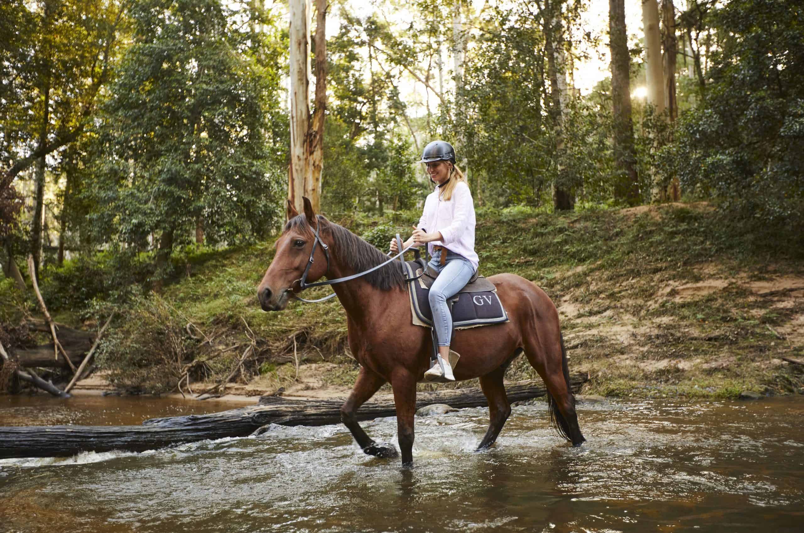 Horses riding on the trails of Glenworth Valley, surrounded by lush greenery and open landscapes
