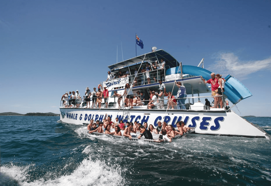 Things to do in Port Stephens -
Dolphin Watching Cruise