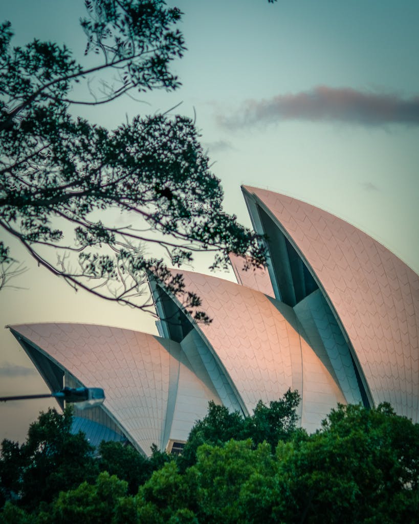 Sydney Opera House framed by tree branches at dusk, showcasing iconic architecture in a serene setting.