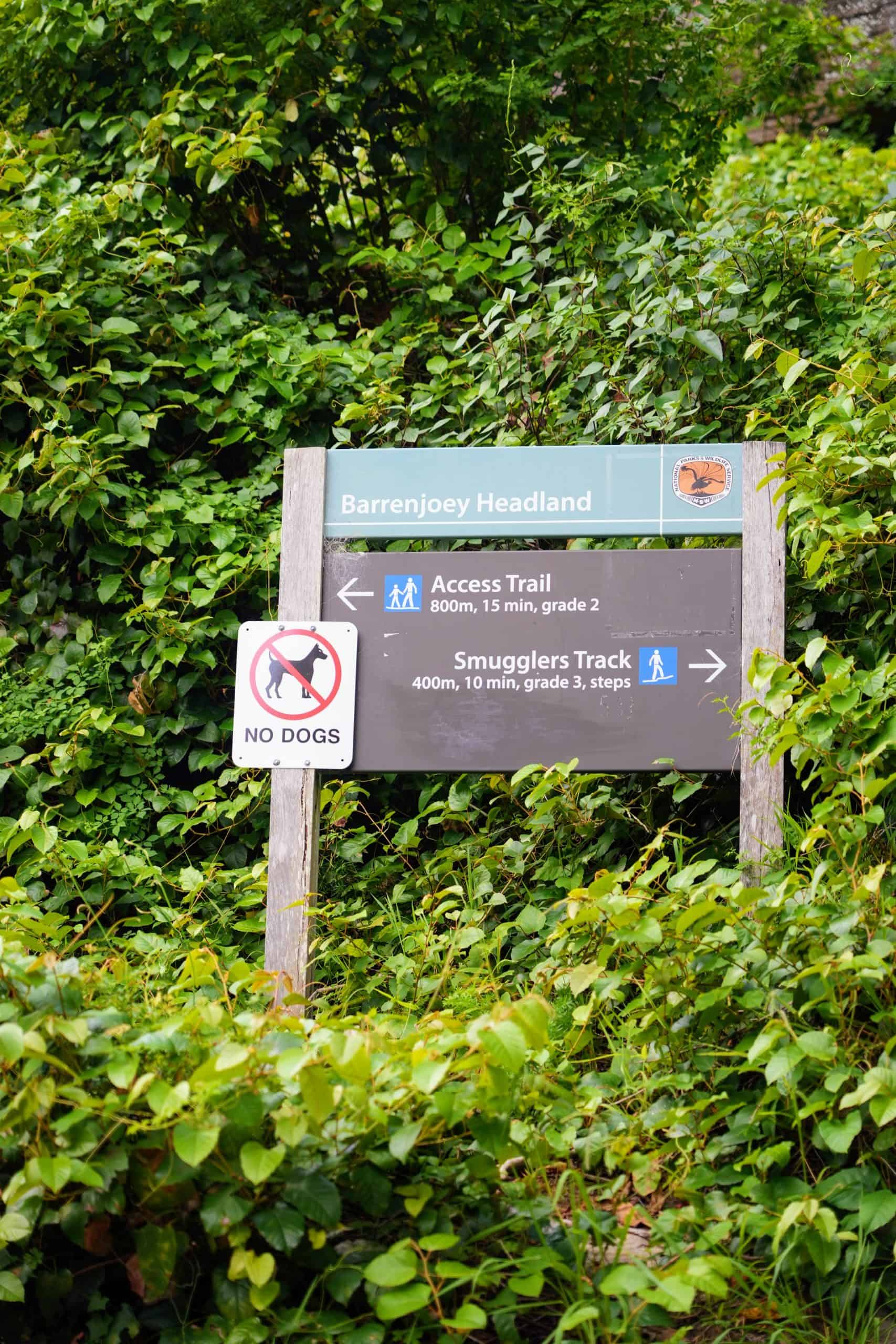 A fork in the trail indicating the choice between the steeper Smugglers Track and the gentler Access Trail, both leading to the lighthouse.