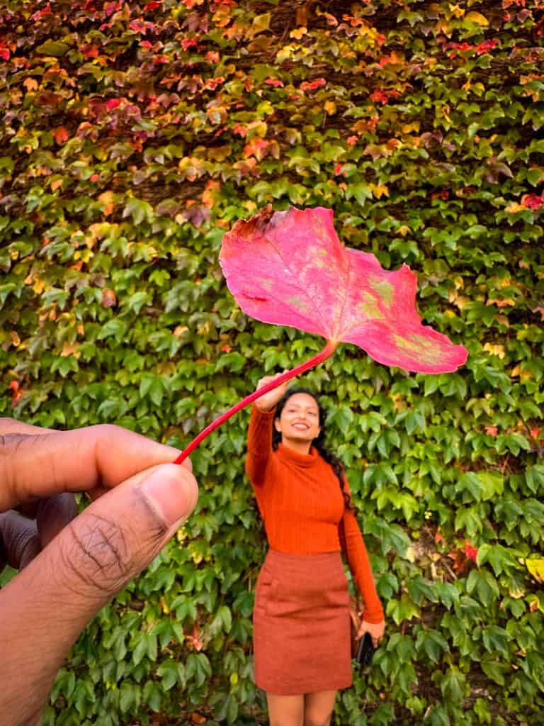 A creative perspective shot capturing the best time to see autumn leaves in Sydney. A person holds a vibrant red leaf in the foreground, aligning it with a smiling woman in the background. She wears a burnt-orange sweater and a brown skirt, reaching up as if holding the leaf. The backdrop is a lush green ivy-covered wall with scattered autumn hues.!