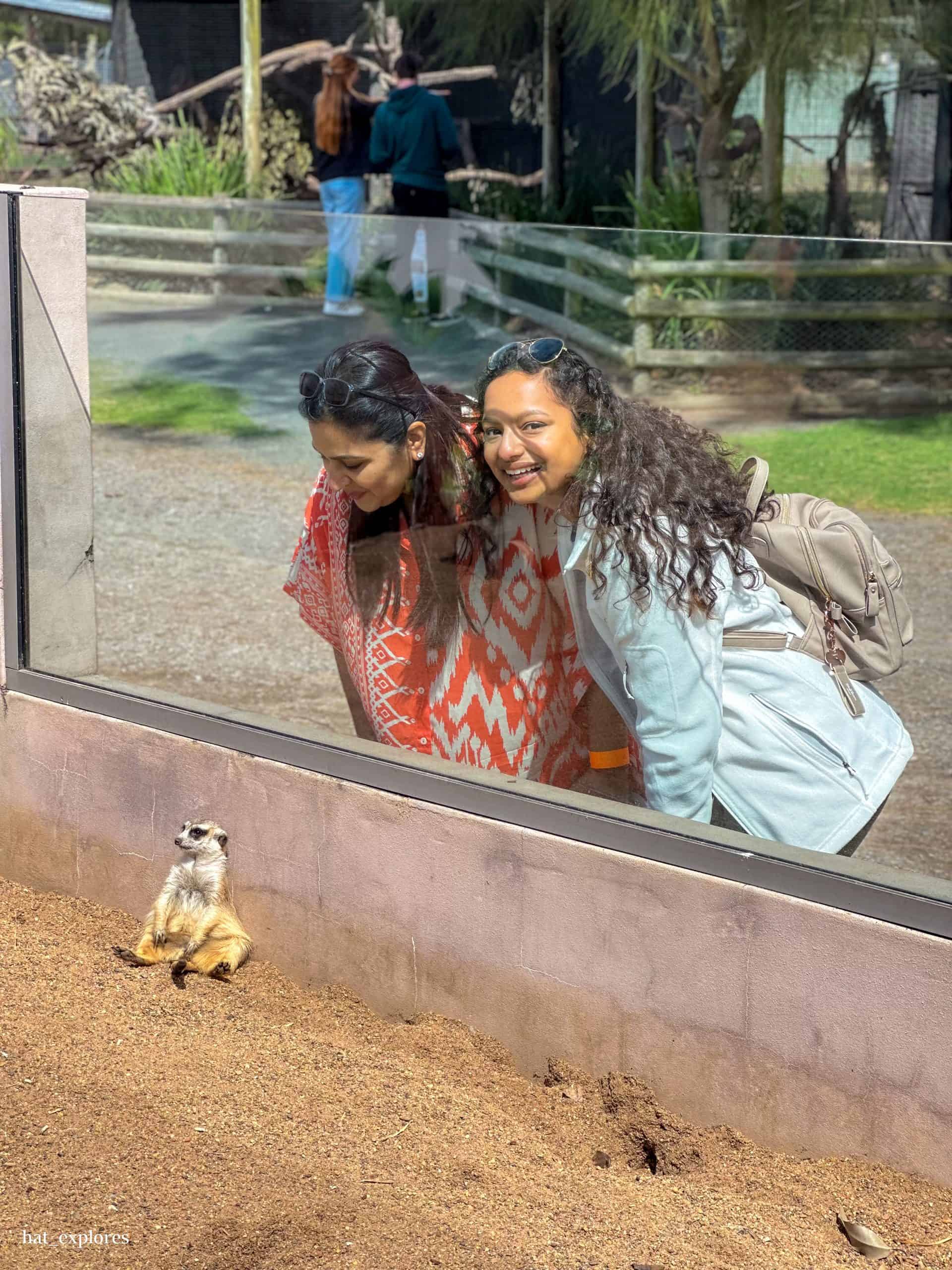 Two women looking through the glass at an animal in a zoo.