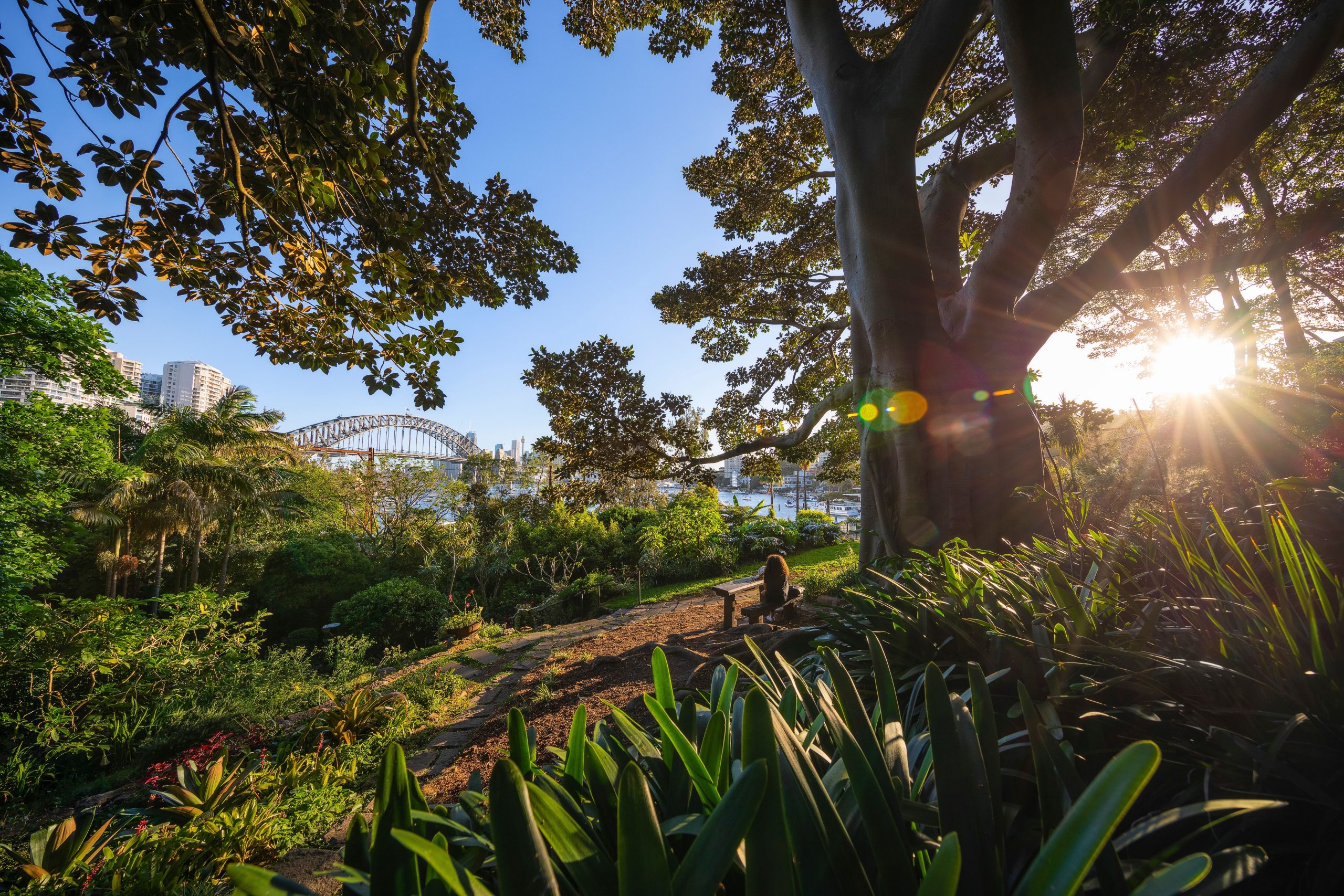 Woman enjoying the serenity in Wendy Whiteley's Secret Garden in Lavender Bay.
