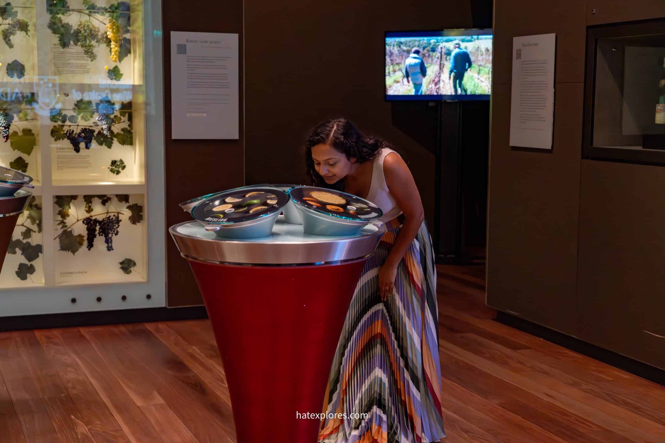 A woman in a colorful striped skirt leans over an interactive scent display inside a wine museum, surrounded by grapevine exhibits and educational panels. 