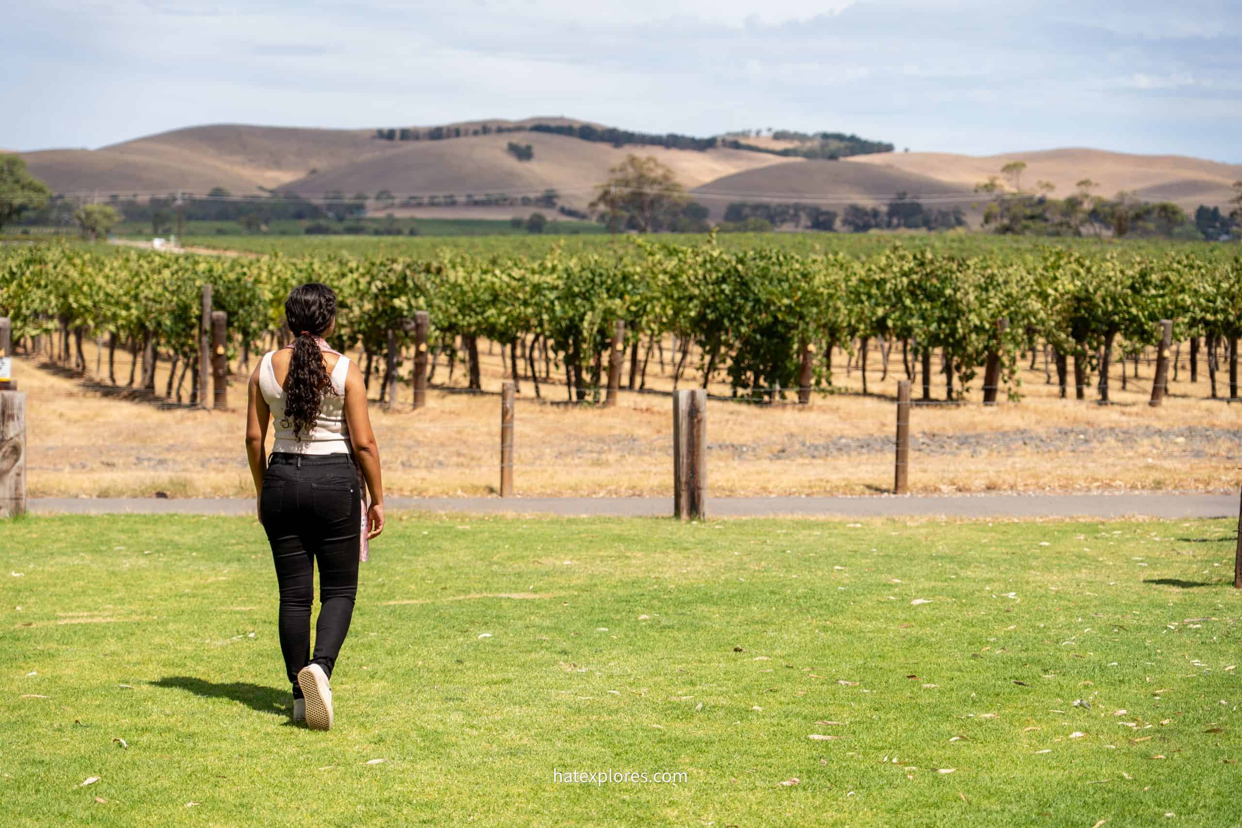 A woman walks across a green lawn toward rows of vineyards and rolling hills in the Barossa Valley.