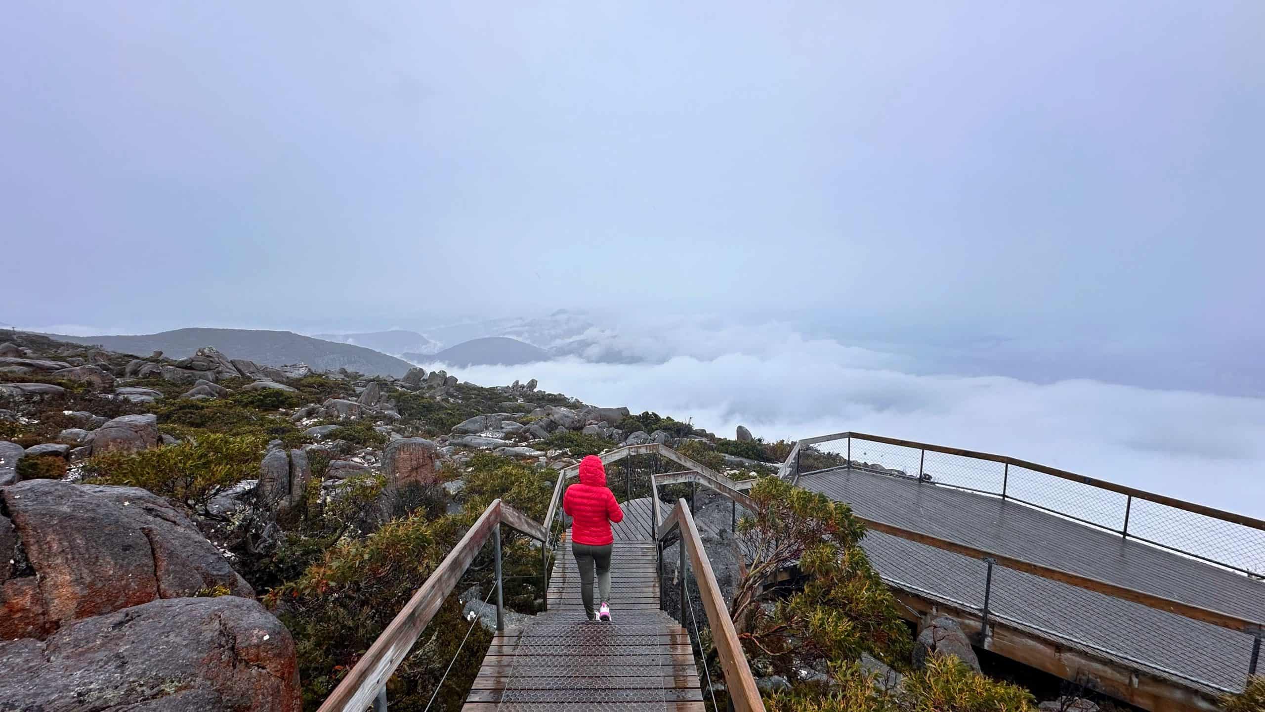 Mount Wellington Summit