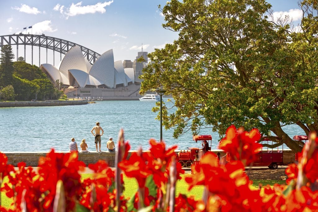 Royal Botanic Garden with harbour views and vibrant greenery – one of the best free things to do in Sydney.