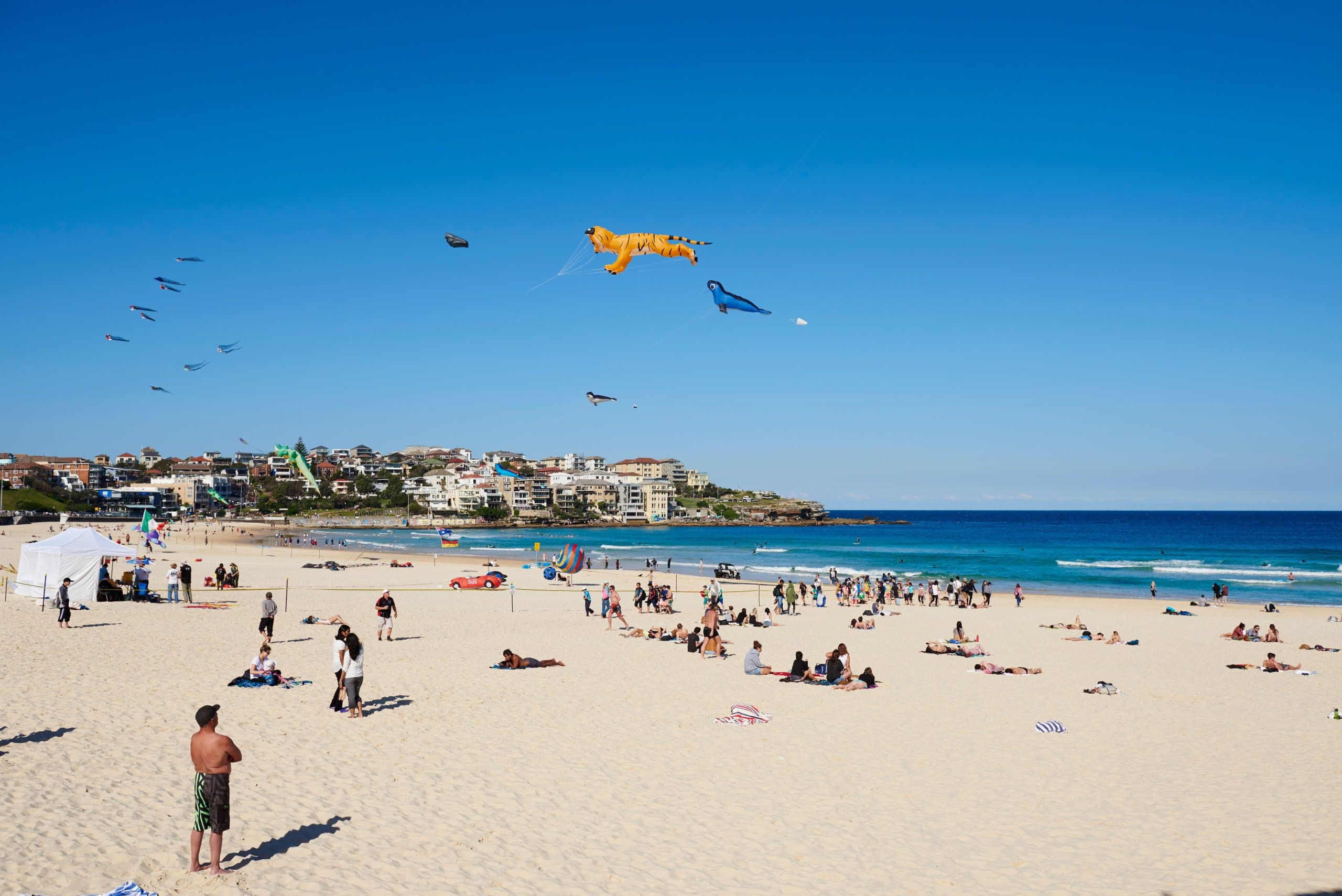 Colorful kites flying over crowded Bondi Beach during a sunny day with clear blue sky.