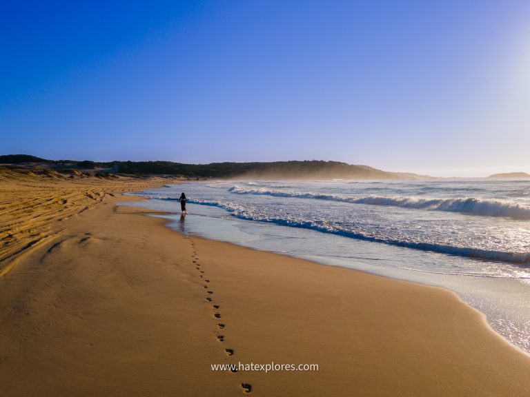 amurai Beach shoreline, another peaceful free thing to do in Port Stephens